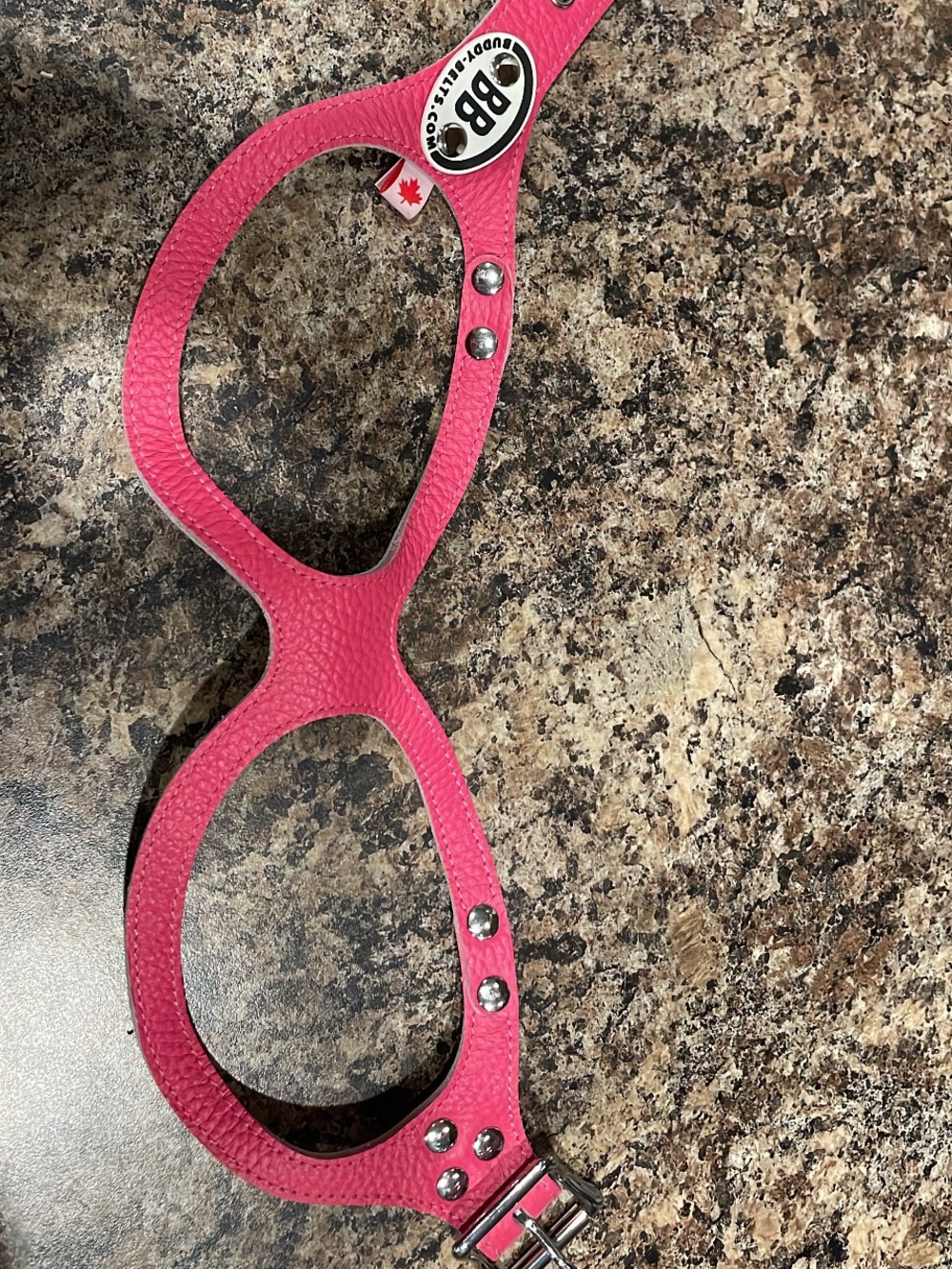 Buddy Belts Pink Leather Dog Harness (Size 5) - NWOT